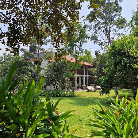 Villa Arana Bentota Kültér fotó