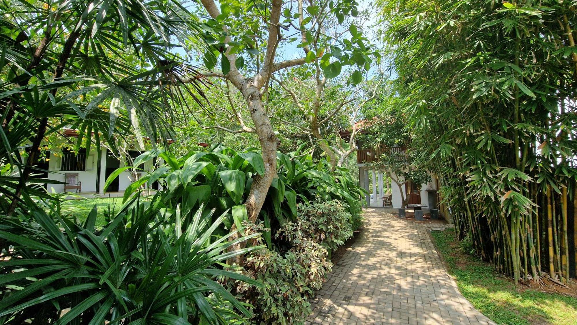 Villa Arana Bentota Kültér fotó