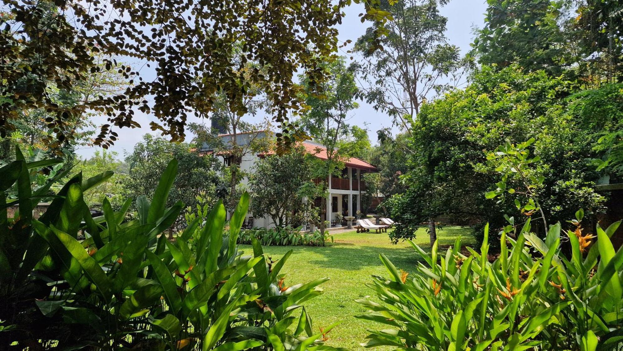 Villa Arana Bentota Kültér fotó