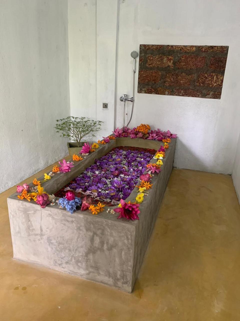 Villa Arana Bentota Kültér fotó